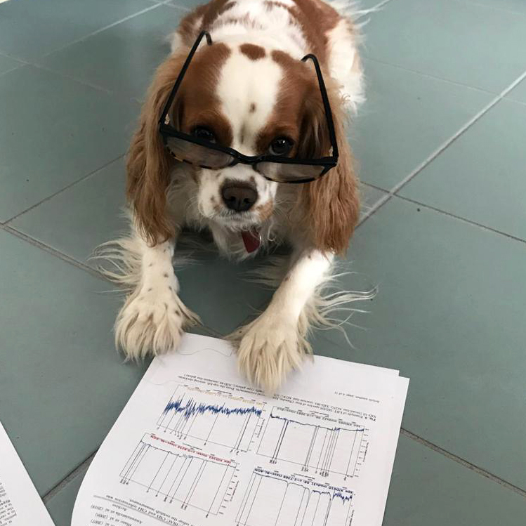 Latest scientific papers