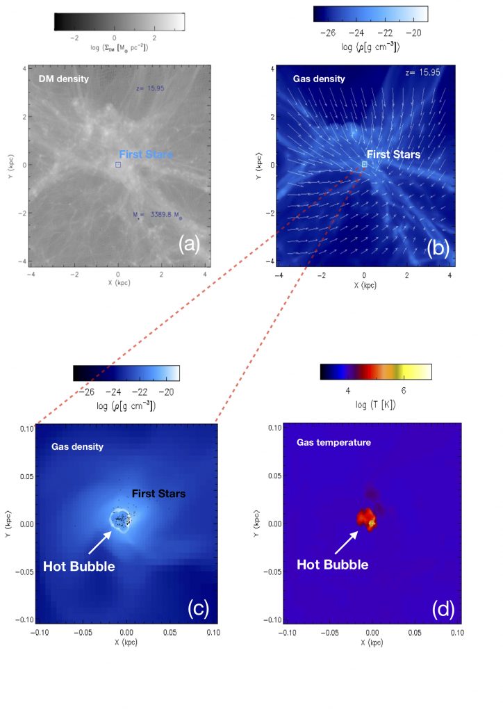 Pannello a: mappa di densità della materia oscura centrata nel punto della simulazione in cui si formano le prime stelle (a redshift 15.95, corrispondente a 250 Myr di età dell’universo). Il primo aggregato stellare è indicato dal quadrato blu. Pannello b: mappa di densità del gas centrata nel punto In cui si formano le prime stelle. Le prime stelle sono indicate dal quadrato bianco, mentre le frecce rappresentano il campo di velocità del gas. Pannello c: ingrandimento della regione corrispondente al quadrato bianco nel pannello b, in cui le prime stelle sono indicate dai simboli neri. È visibile la ‘bubble’, ovvero la cavità generata dall’energia rilasciata dalle prime stelle massicce, circondata da un ‘guscio’ denso di gas. Pannello d: mappa di temperatura della stessa regione riportata nel pannello c, in cui si nota la alta temperatura interna della ’bubble’ generata dalle prime stelle massicce. Crediti: F. Calura / Mnras 2022